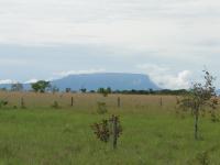 Feição tabular (tepuy ou mesa)