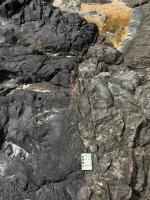 Contato, levemente sinuoso a reto, do dique máfico com o granulito, muito fraturado. Praia de Buracão, Salvador/Ba.