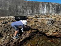 Conglomerados polimiticos da Formação Salvador, depositados em ambiente continental sob a forma de leques deltaicos - Ponta de Humaitá, Salvador/Ba.