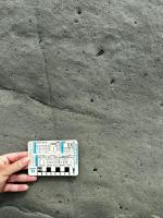 Camadas de arenitos siltico com presença de matéria orgânica (carval mineral). Ponta de Itamoabo - Ilha de Maré.