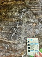 Veios quartzosos que cortam o bandamento da rocha granulítica. Parque Pedra de Xangô, Salvador/Ba.