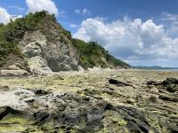 Paleofalésia, em plataforma de abrasão, causada pela ação das ondas e intemperismo ativo.