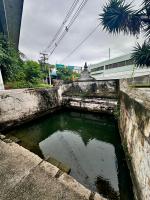 Fonte Nova, localizada na Avenida Vasco da Gama. Historicamente abastecia moradores das áreas circunvizinhas. Atualmente, o local apresenta condições de conservação precárias, com presença de limo e acúmulo de sujeira. A água é considerada imprópria para consumo.