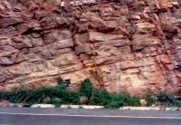 Corte de estrada da BA-052 em um perfil de arenitos sigmoidais.(sistema deltaico).Foto: Antônio J. Dourado Rocha, 1996.